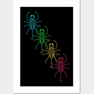 Vinegaroon whipscorpion rainbow Posters and Art